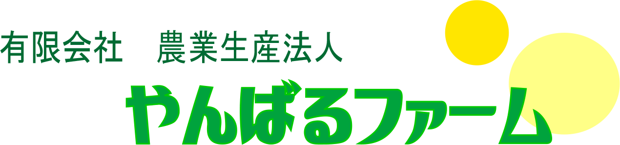 有限会社農業生産法人やんばるファーム