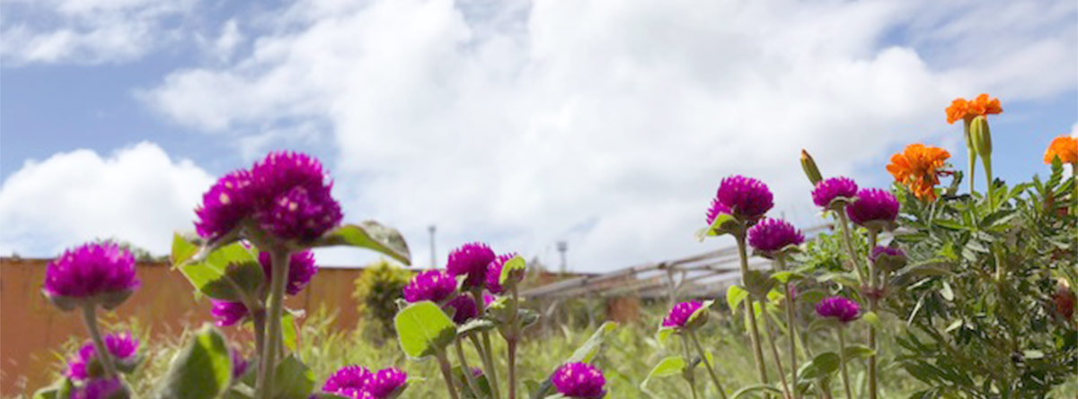 株式会社サポート