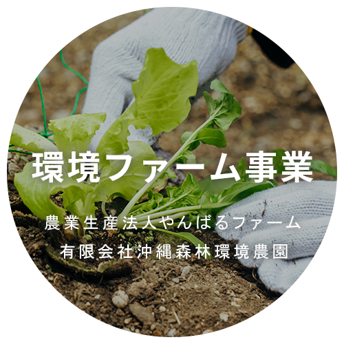 環境ファーム事業