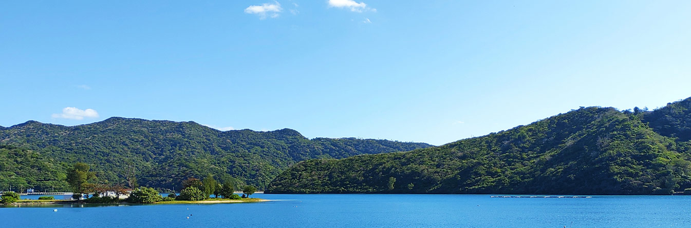 有限会社沖縄森林環境農園